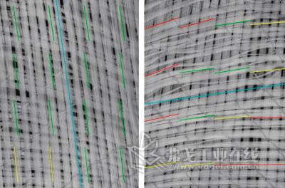 在95mm的高度等级所测得的纤维取向结果。左图是相对于上一层纤维层呈0°方向排列的织物，右图为相对上一层纤维层呈90°方向排列的织物。其中，红色表示大角度偏差，黄色为中等角度偏差，绿色表示小角度偏差。与0°方位相比，90°方位上出现了更多的角偏差