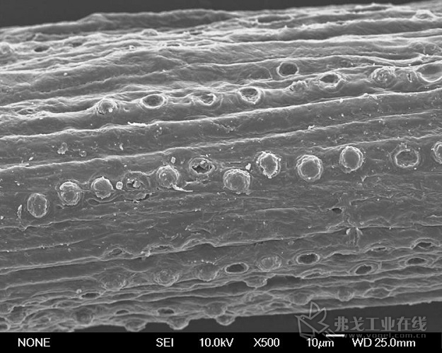 该扫描电子显微照片从纵向显示了从椰子外壳中获得的椰壳纤维，它拥有比传统的天然或合成纤维更大的直径，因而具有固有的刚性和韧性(图片来自Essentium材料公司)