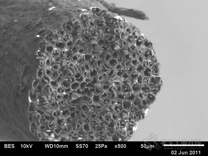 该扫描电子照片从纤维的端部(横断面)显示了椰壳纤维。高木质素含量使其抗燃烧、抗微生物的侵蚀以及抗吸湿、抗膨胀(图片来自Essentium材料公司)